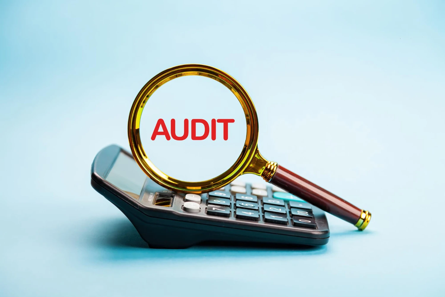 audit management